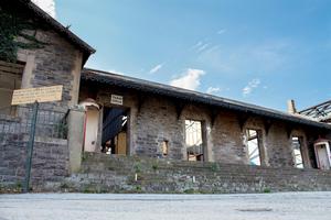 The beaten track: Dr Marx and the love train